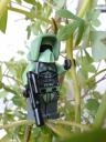 lego237.jpg