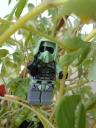 lego240.jpg