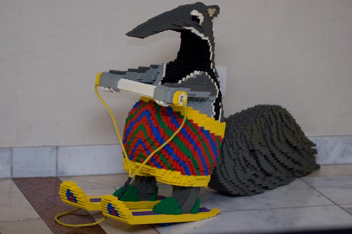 20d_080425_01057_lr34.jpg