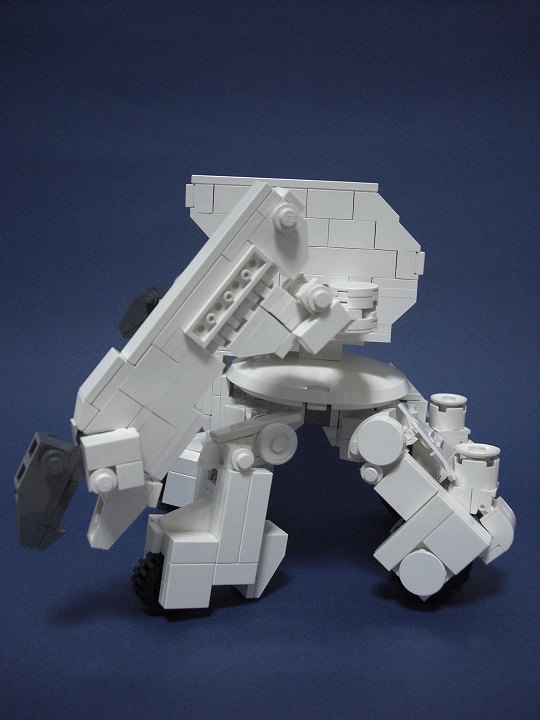 catam05.jpg
