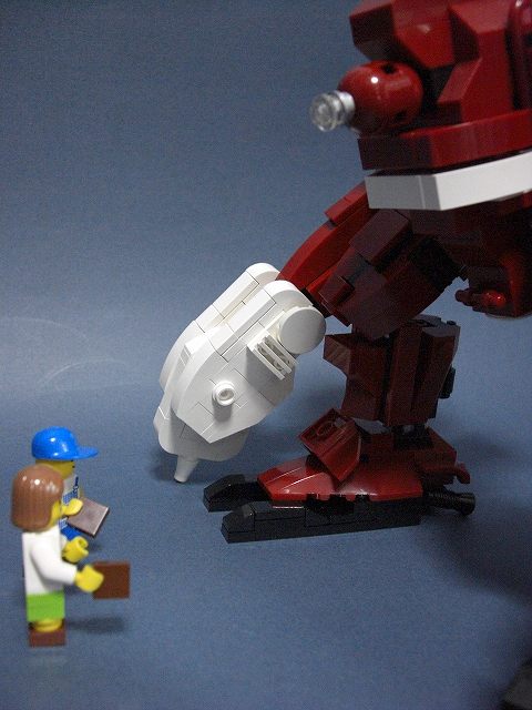 ihihd06-10.jpg