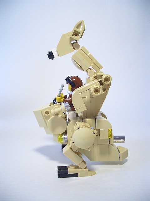 kangoride02.jpg