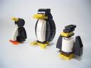 pre-penguins01.jpg