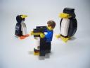 pre-penguins02.jpg