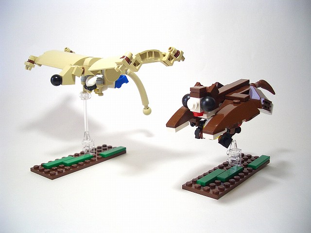 00-flying-squirrels.jpg