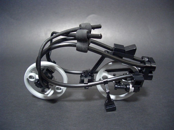 chari-02.jpg