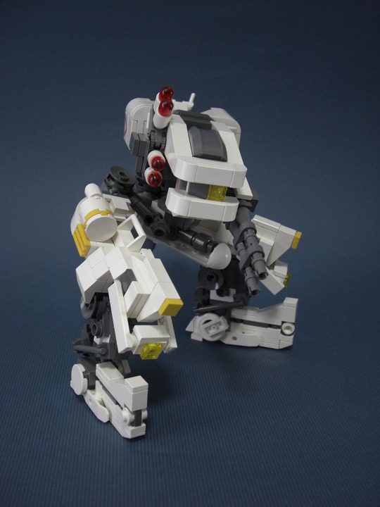 16-bipeds207.jpg