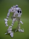 27skelton.jpg