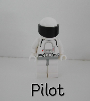 pilot.jpg