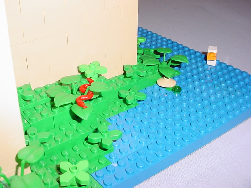 island17.jpg