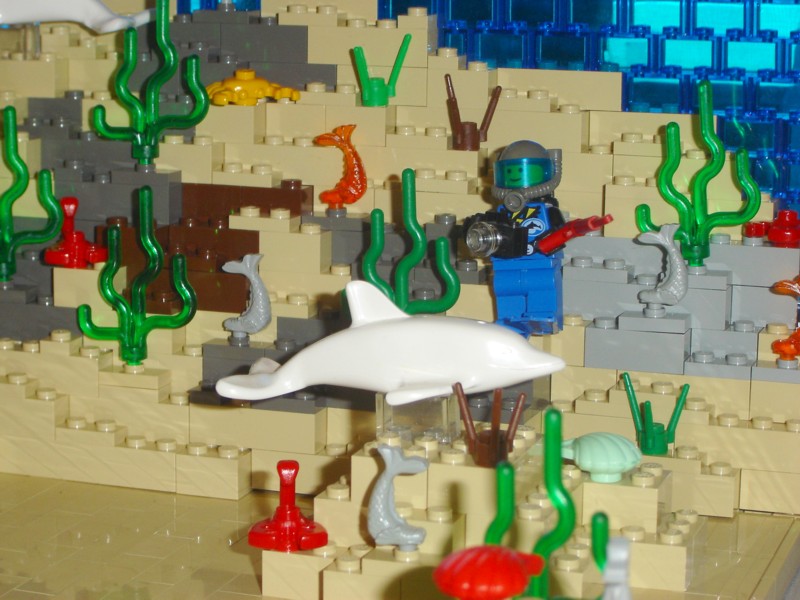 reef4.jpg