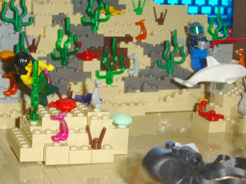 reef7.jpg