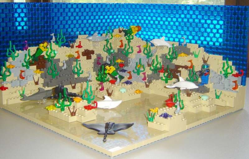 reef9.jpg