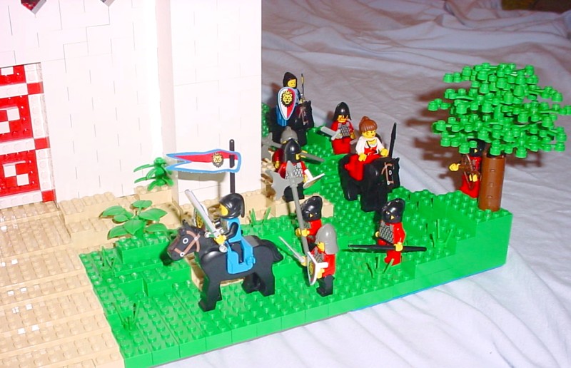 15.jpg
