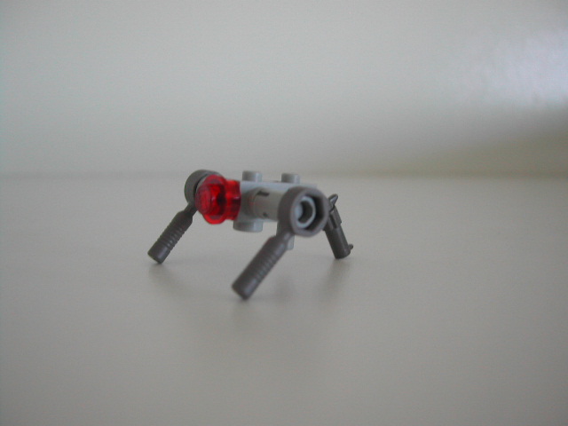 dscn2140.jpg