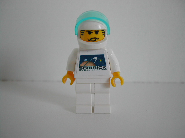 slamscibrickfig.jpg