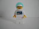 slamscibrickfig.jpg
