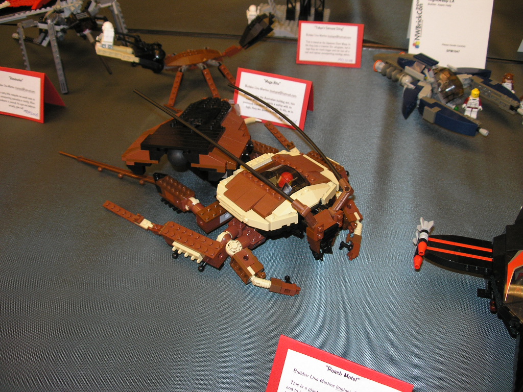space13.jpg