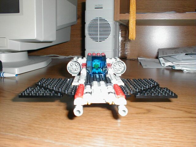 dragonfly01.jpg