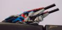 pincer09.jpg