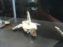 dsc00779.jpg