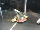 dsc00780.jpg