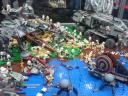 dsc00810.jpg