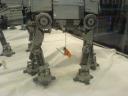 dsc00812.jpg