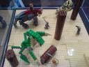 dsc00850.jpg