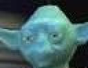 yoda5.jpg