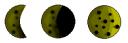 moon.png