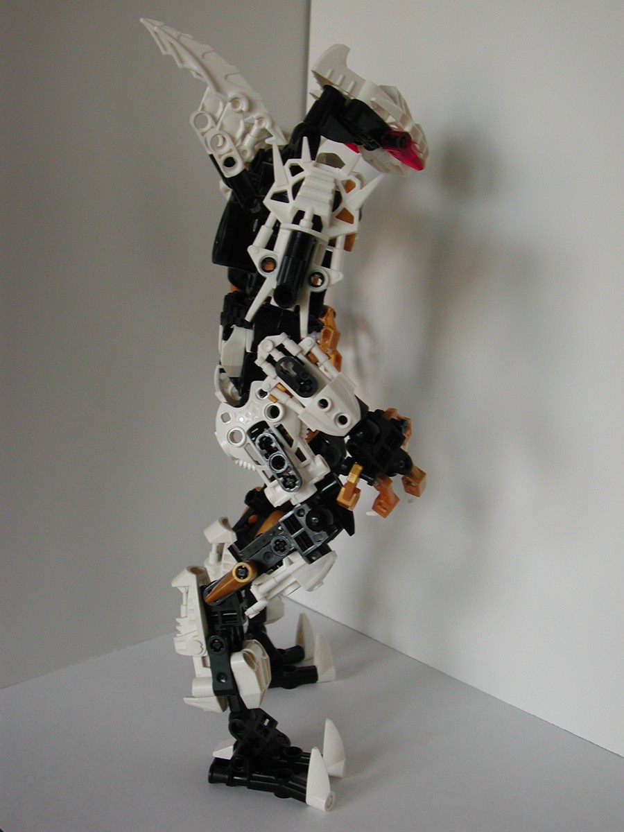 dscn8793.jpg
