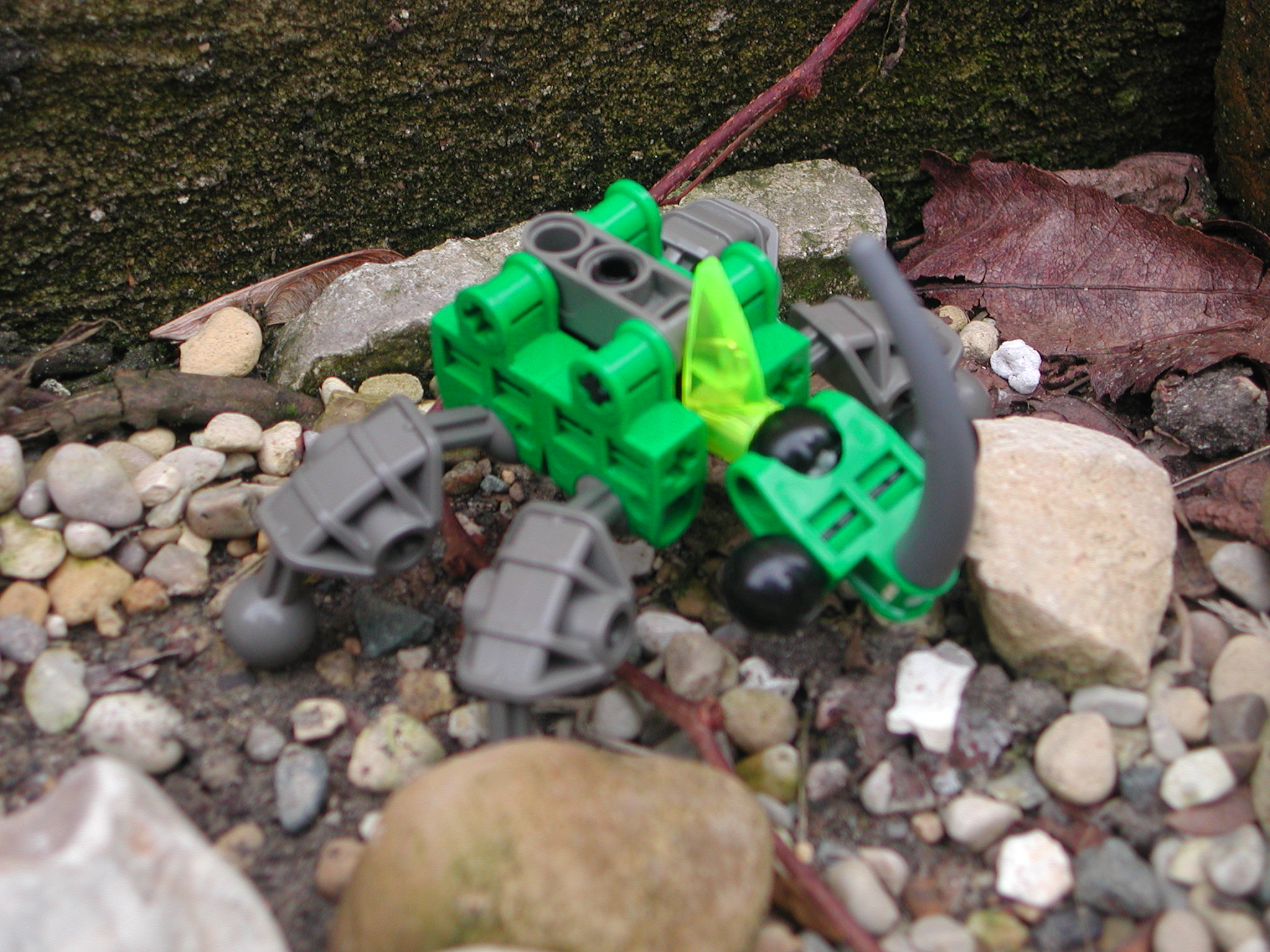 z6.jpg