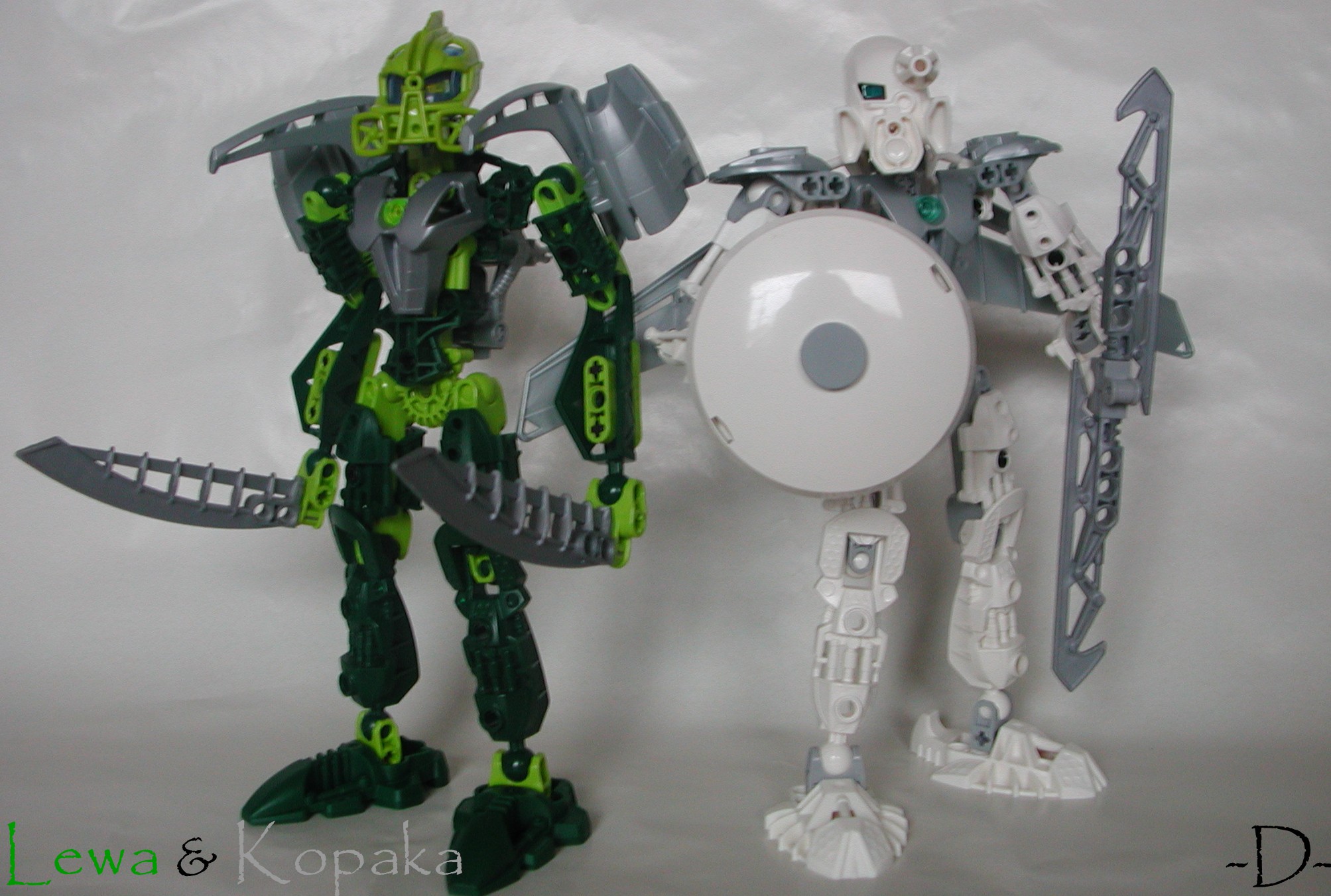dscn8441.jpg