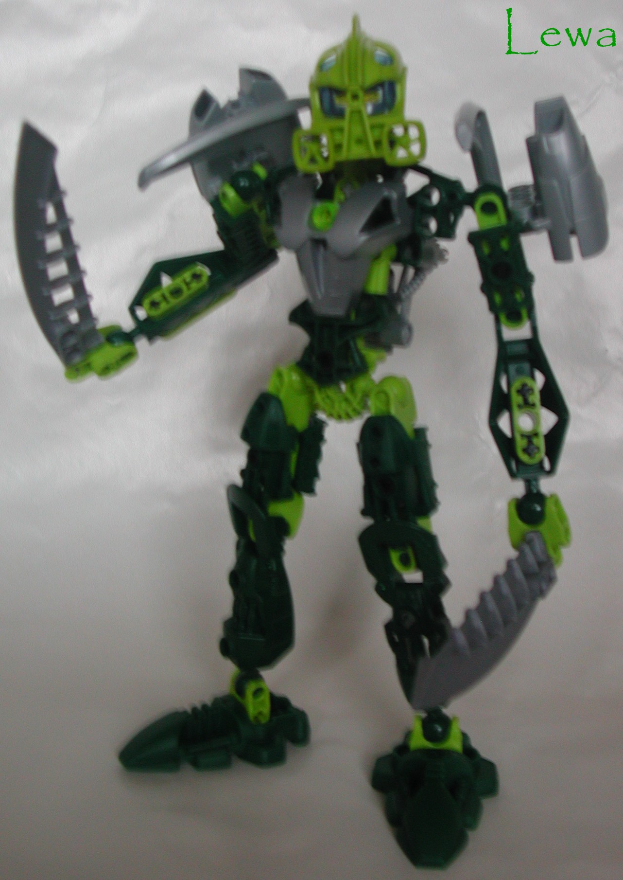 dscn8451.jpg