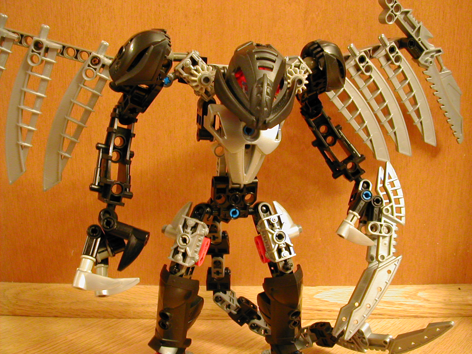 dscn3528.jpg