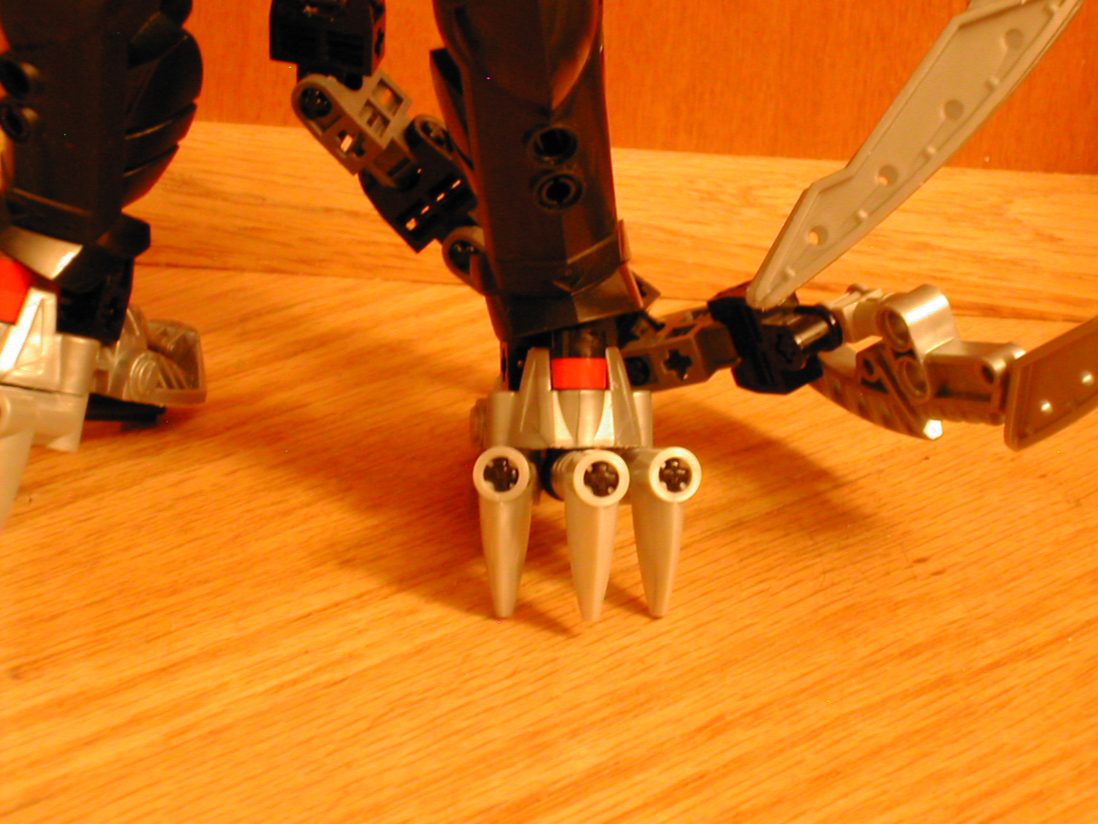 dscn3536.jpg