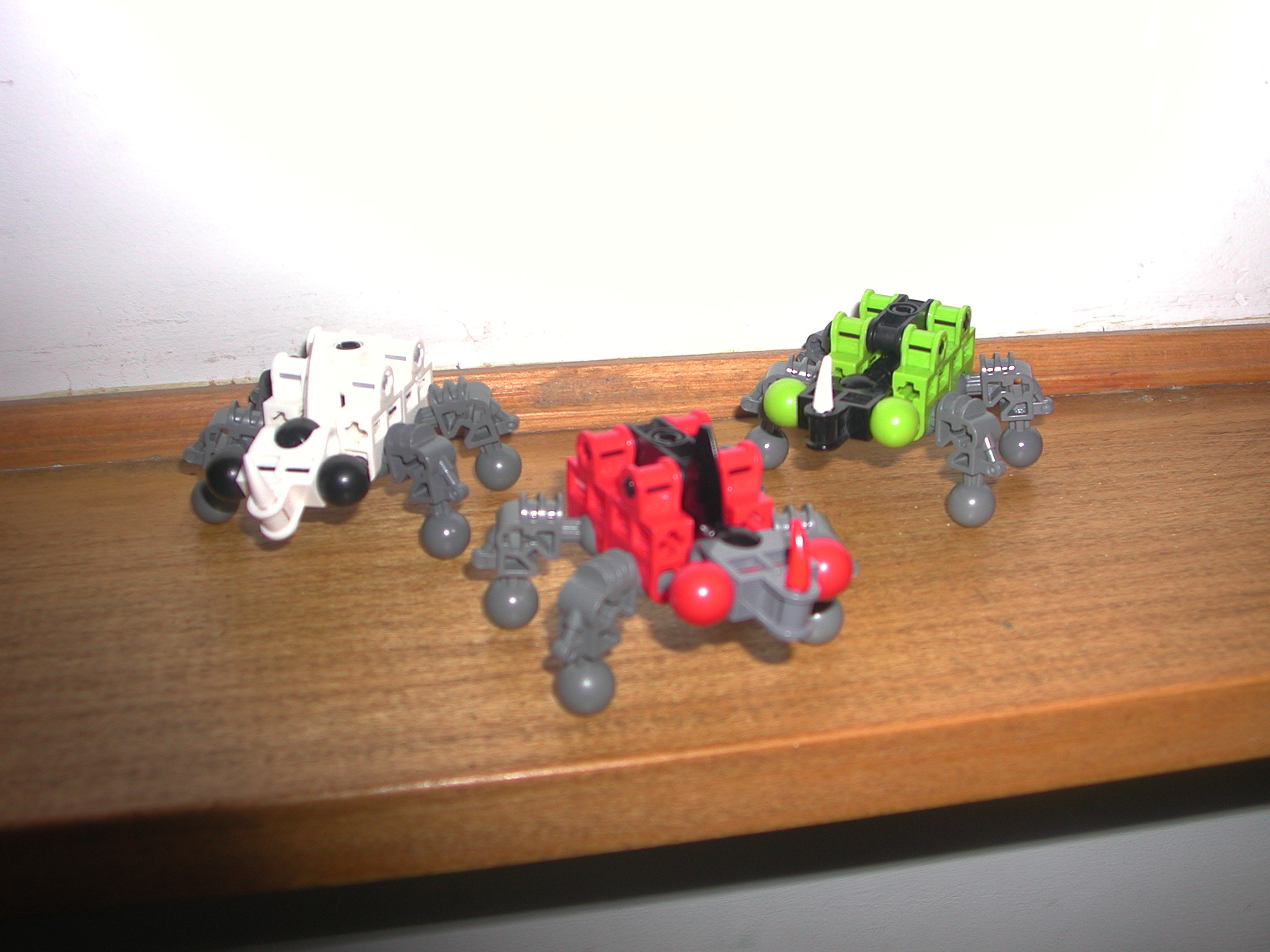 beetles.jpg