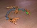 Dragons