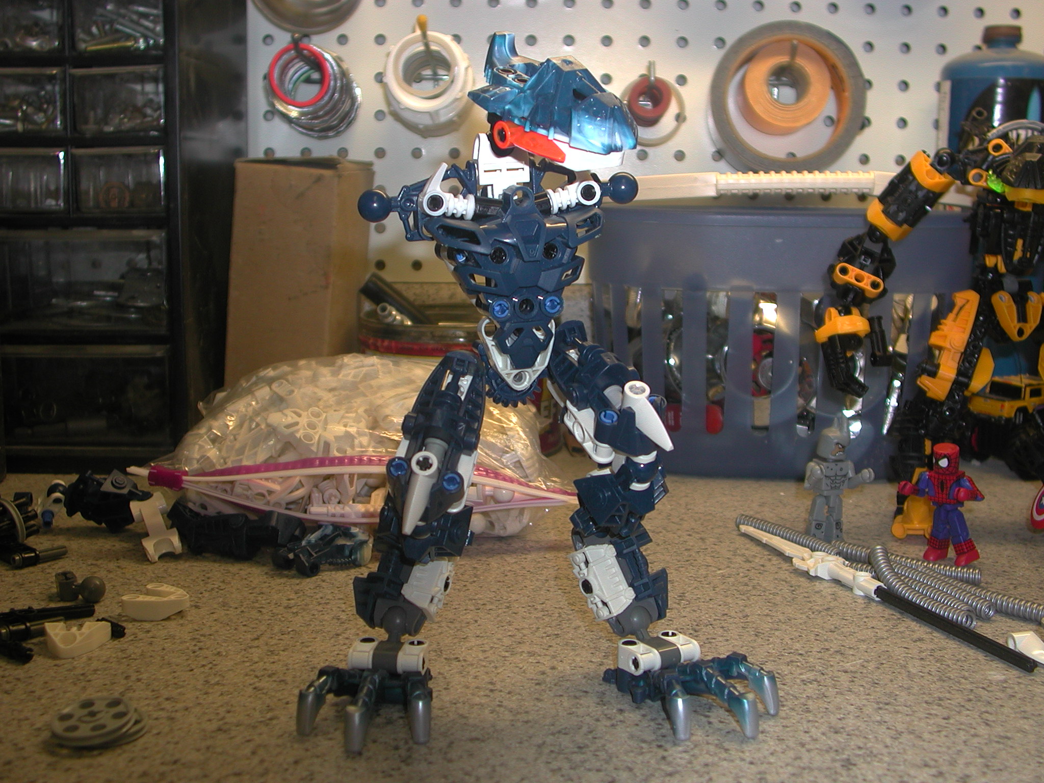 dscn4570.jpg