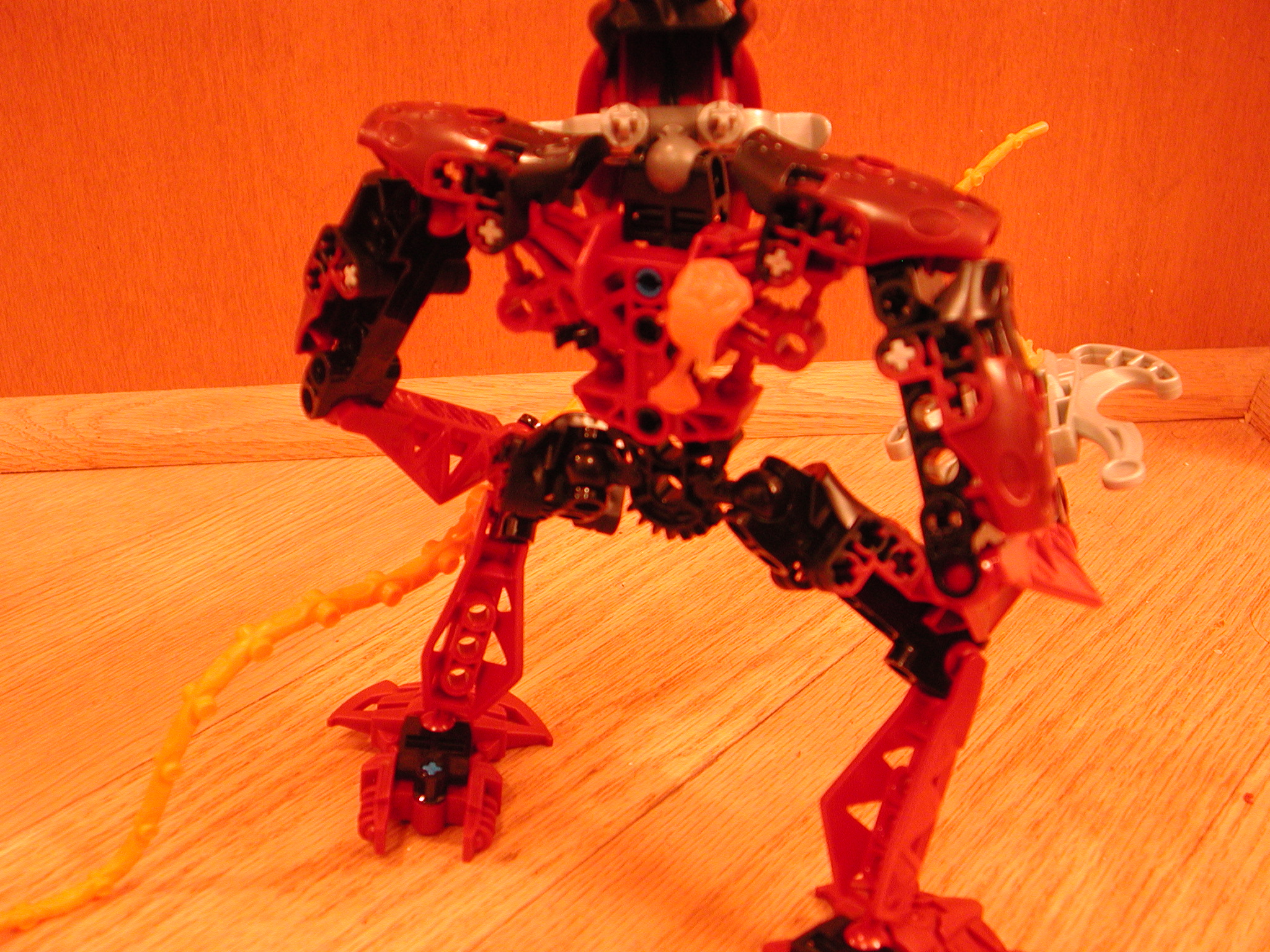 back.jpg