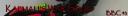 squid_banner.jpg