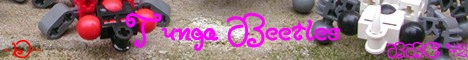 tunga_banner.jpg