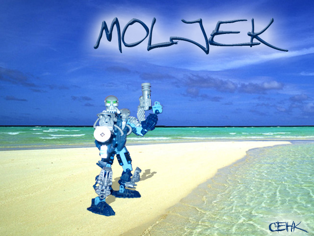 moljek1.jpg