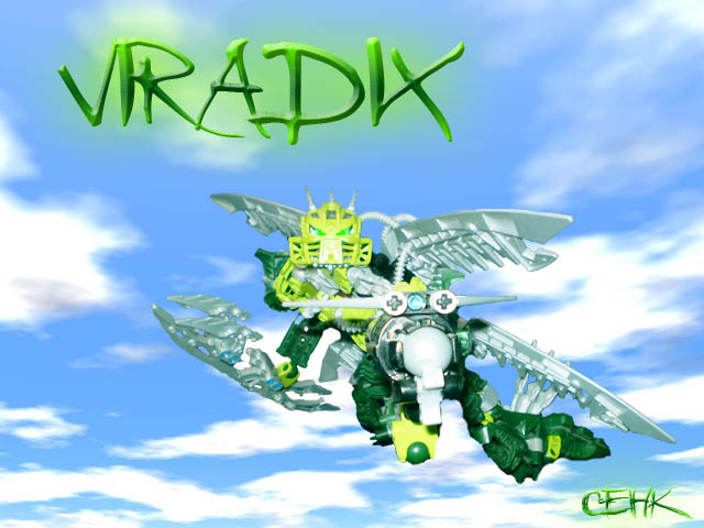 vidarix1.jpg