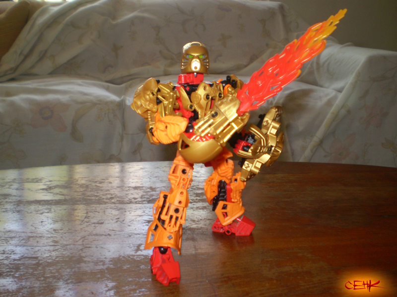 tahu_gold_5.jpg