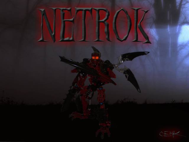 netrok1.jpg