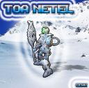 ToaNetel