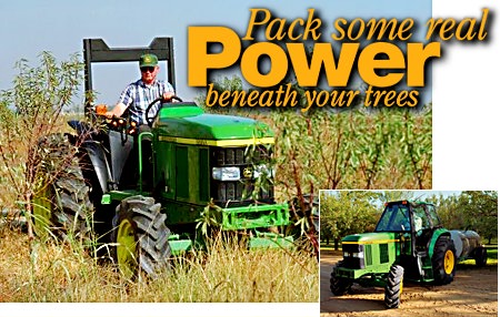 6komainjdeere.jpg