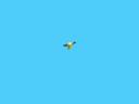pendarm2.gif